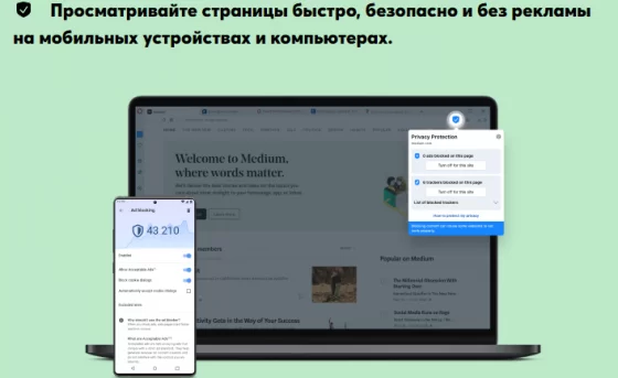 Встроенный блокировщик рекламы